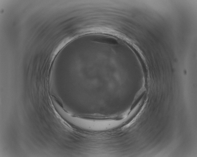X0000066011529200603061245