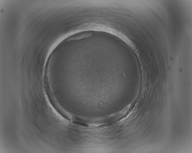 X0000066011536200603061245