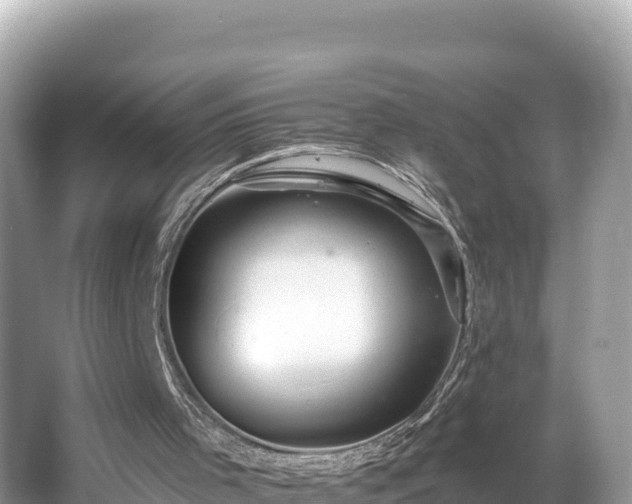 X0000066010001200603101609