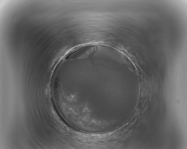 X0000066010002200603101609