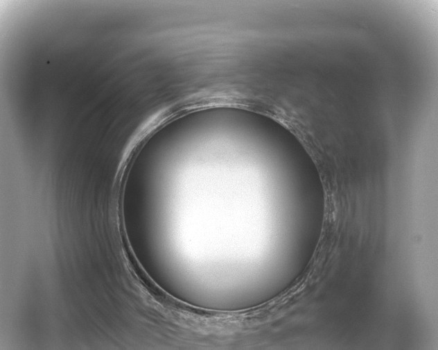 X0000066010004200603101609