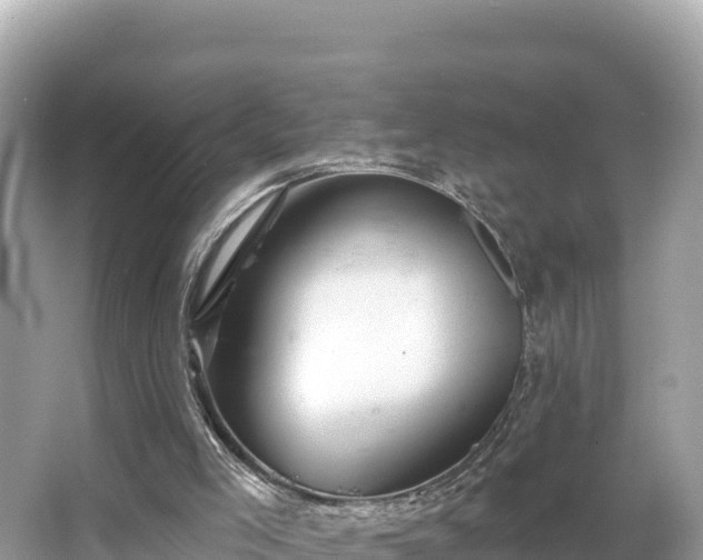 X0000066010005200603101609