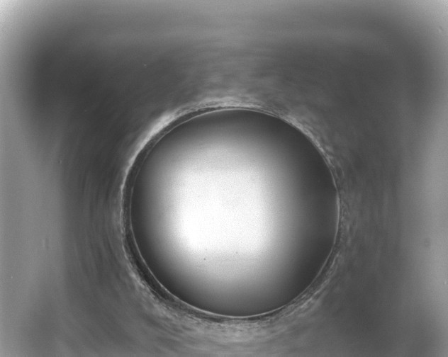 X0000066010008200603101609