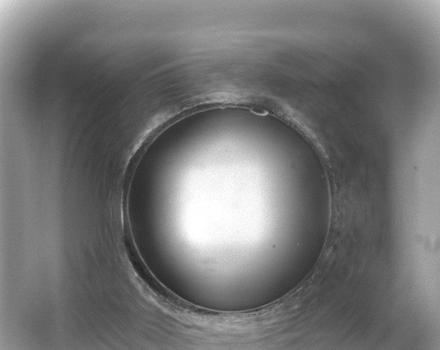 X0000066010011200603101608