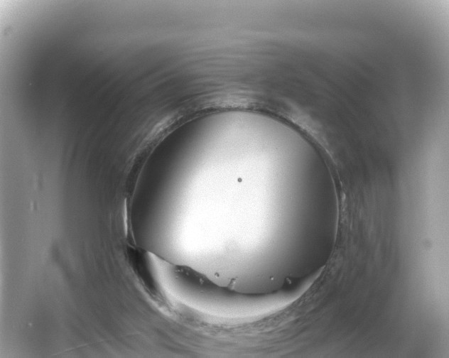 X0000066010013200603101608