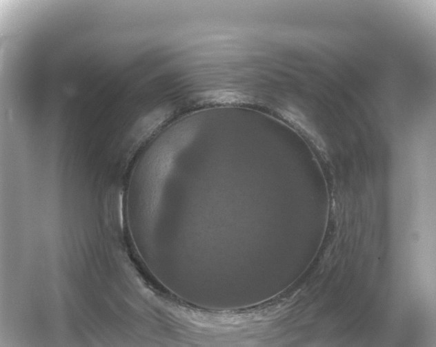 X0000066010014200603101608