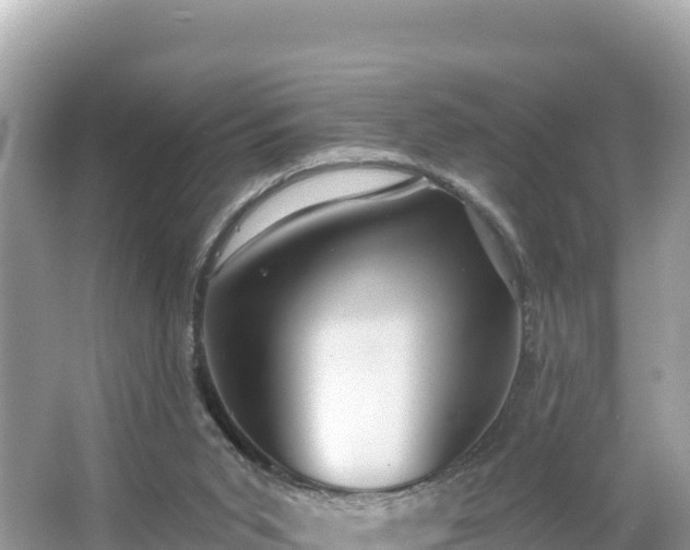 X0000066010015200603101608