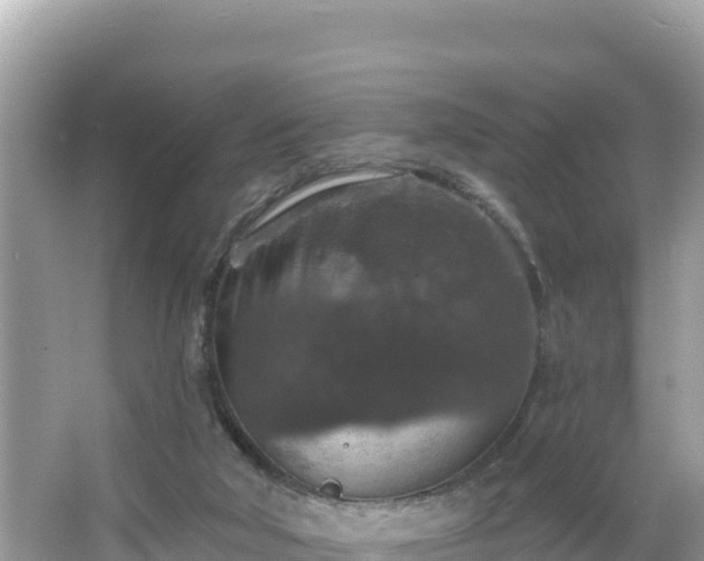 X0000066010018200603101608