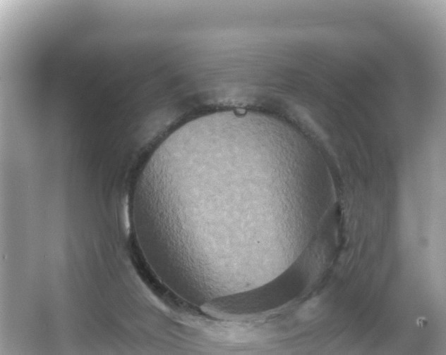 X0000066010020200603101608