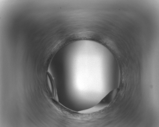 X0000066010021200603101608