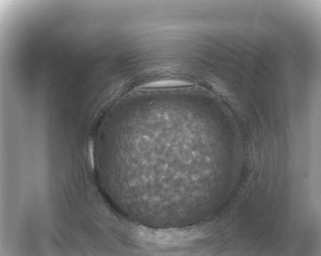 X0000066010022200603101608