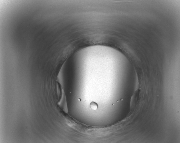 X0000066010025200603101608