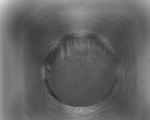 X0000066010026200603101608