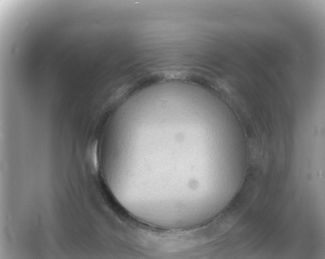 X0000066010028200603101608