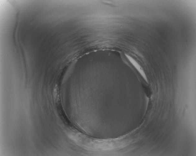 X0000066010029200603101608