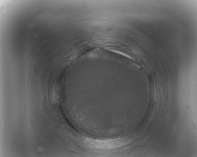 X0000066010030200603101608