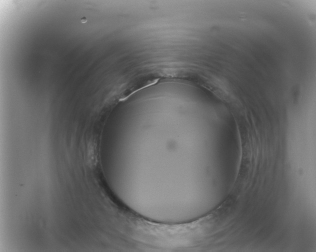 X0000066010031200603101608