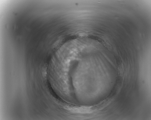 X0000066010032200603101608