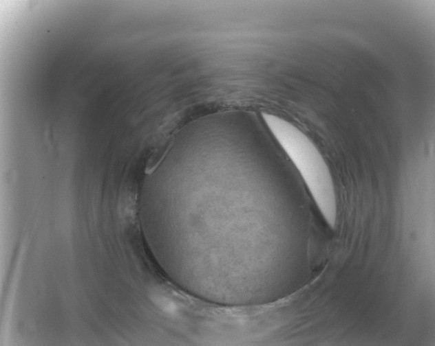 X0000066010033200603101608