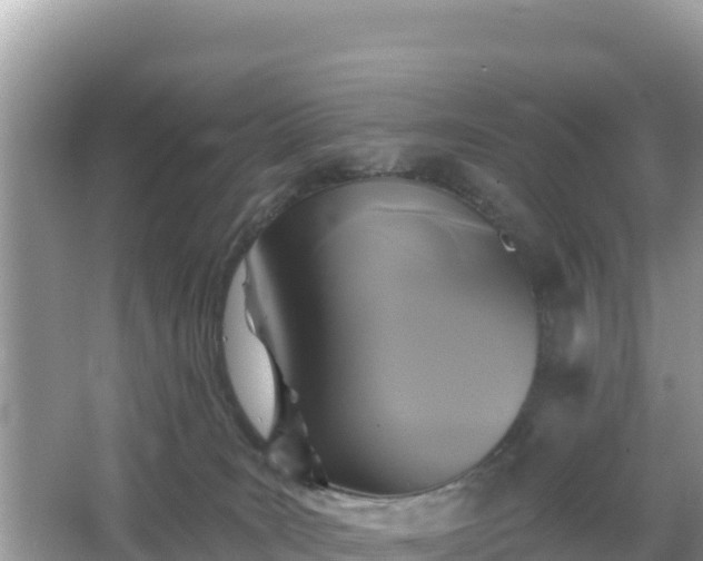 X0000066010035200603101608