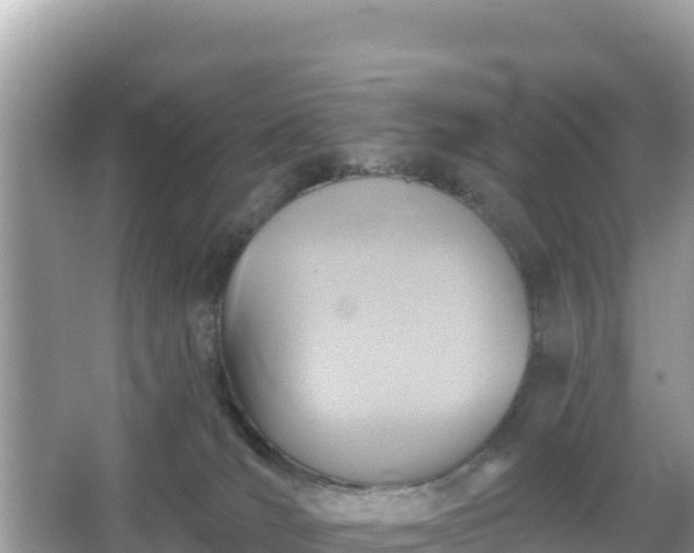 X0000066010036200603101608