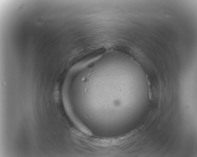 X0000066010037200603101608