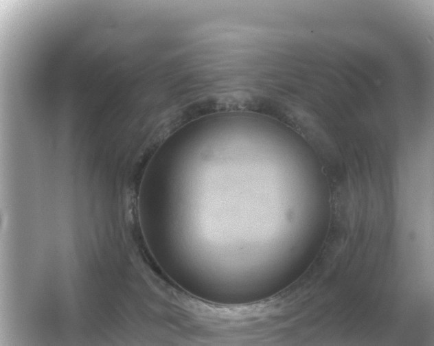 X0000066010038200603101608