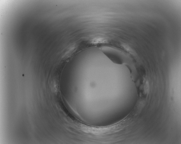 X0000066010039200603101608