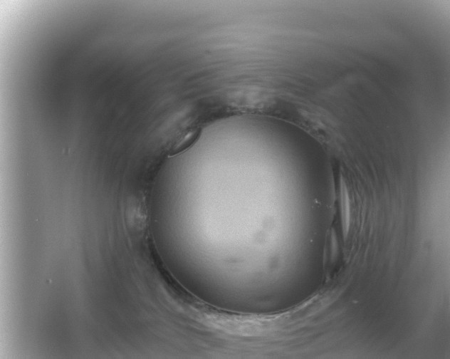 X0000066010040200603101608