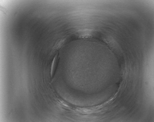 X0000066010041200603101608