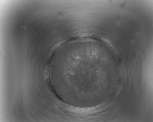 X0000066010043200603101608