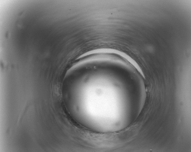 X0000066010044200603101608