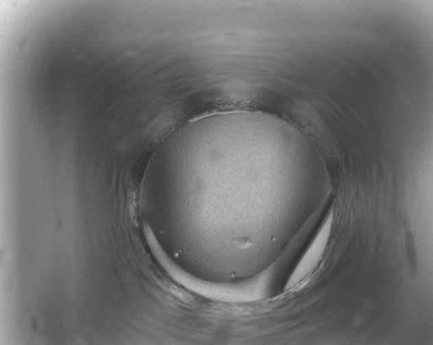 X0000066010045200603101608