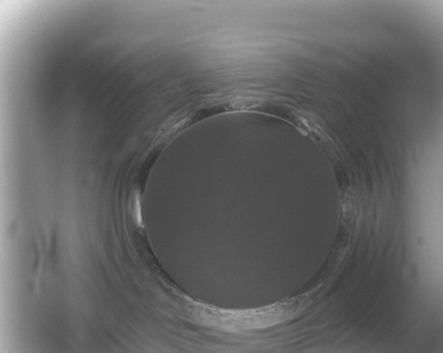 X0000066010046200603101608