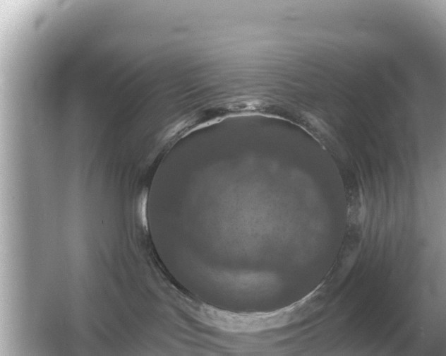 X0000066010047200603101608