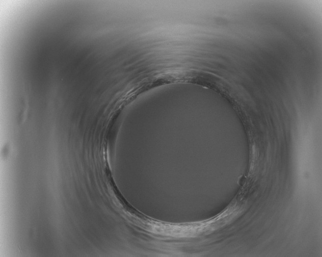 X0000066010048200603101608