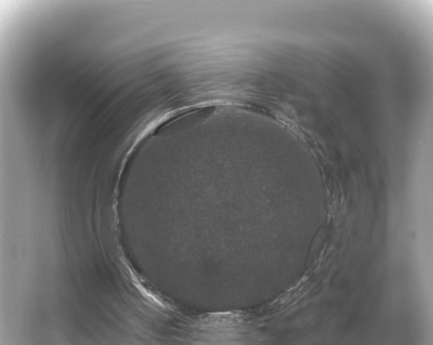 X0000066010050200603101607