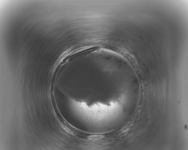 X0000066010051200603101607