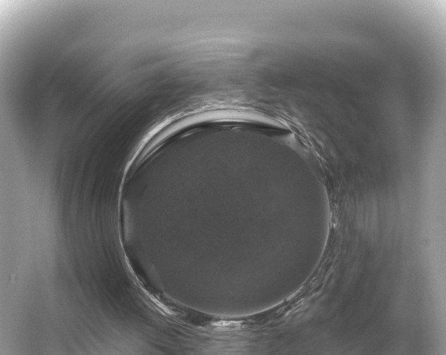 X0000066010052200603101607