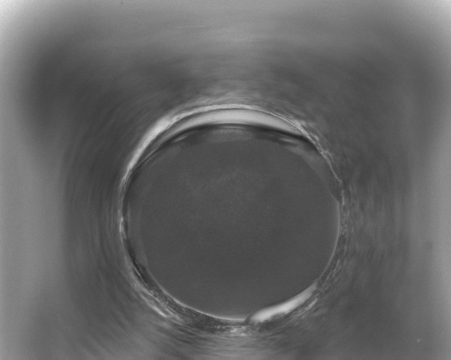 X0000066010056200603101607