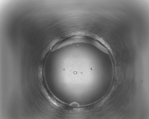 X0000066010057200603101607