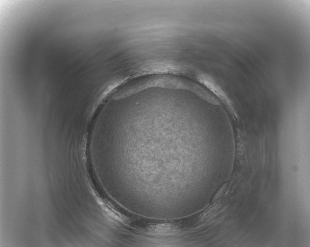 X0000066010058200603101607