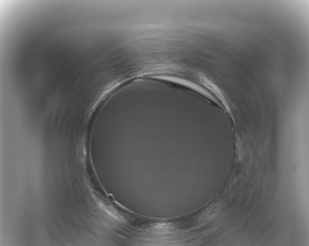 X0000066010059200603101607