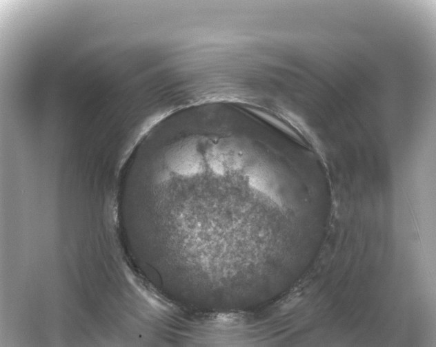 X0000066010060200603101607