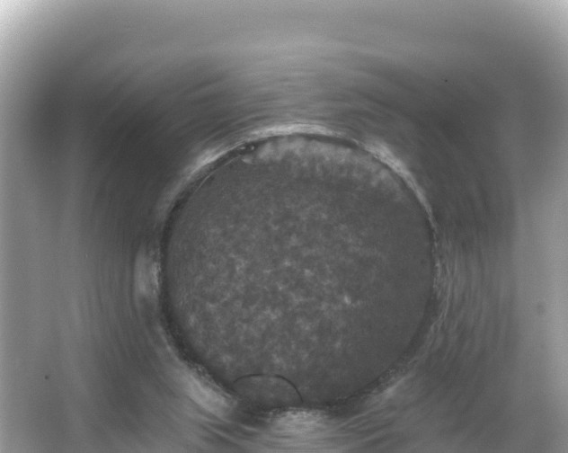 X0000066010063200603101607