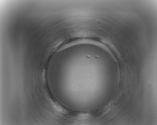 X0000066010066200603101607