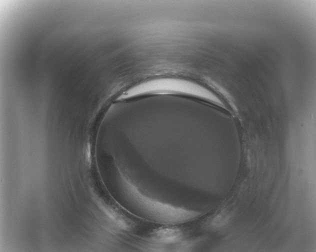 X0000066010067200603101607