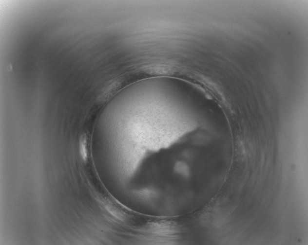 X0000066010069200603101607