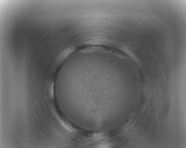 X0000066010070200603101607