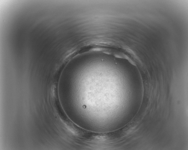 X0000066010071200603101607